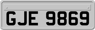 GJE9869