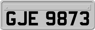 GJE9873