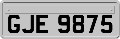 GJE9875