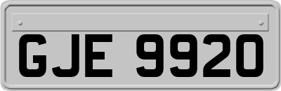 GJE9920