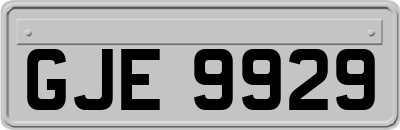 GJE9929