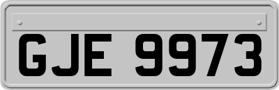 GJE9973