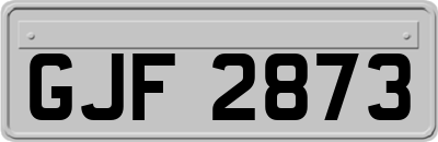 GJF2873