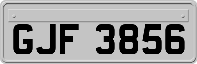 GJF3856