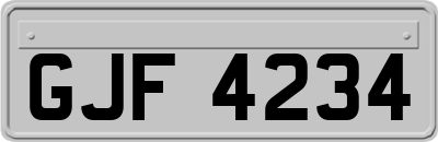 GJF4234