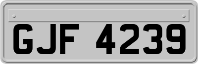 GJF4239