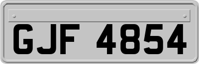 GJF4854