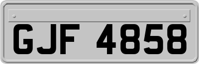 GJF4858