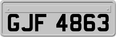 GJF4863
