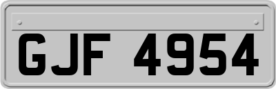 GJF4954