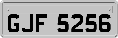 GJF5256