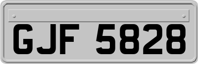 GJF5828