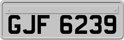 GJF6239