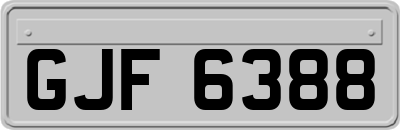 GJF6388