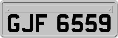 GJF6559