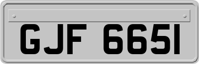 GJF6651