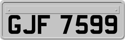 GJF7599