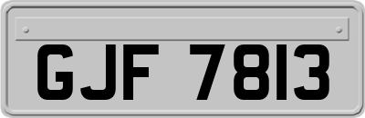 GJF7813