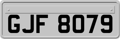 GJF8079
