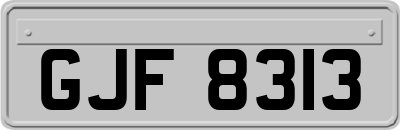GJF8313