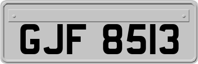 GJF8513
