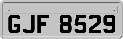 GJF8529