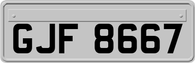 GJF8667
