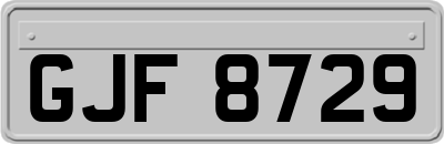 GJF8729