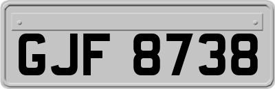 GJF8738