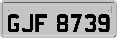 GJF8739