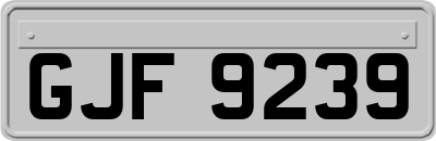 GJF9239