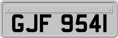 GJF9541