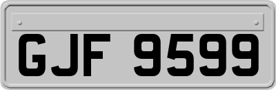 GJF9599