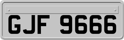 GJF9666