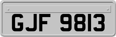 GJF9813