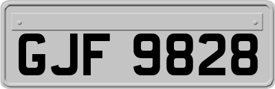 GJF9828
