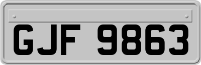 GJF9863