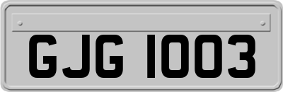 GJG1003