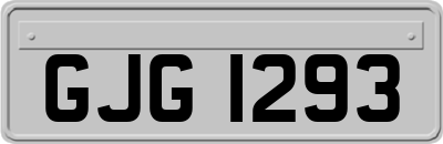 GJG1293