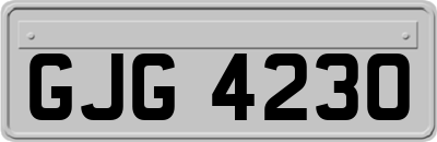 GJG4230