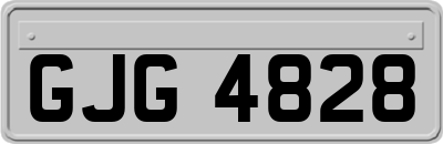 GJG4828