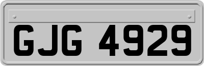 GJG4929