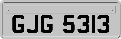 GJG5313