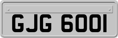 GJG6001