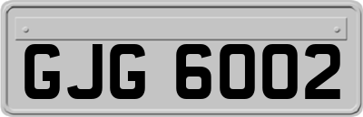 GJG6002