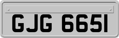 GJG6651
