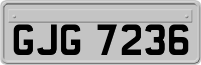GJG7236