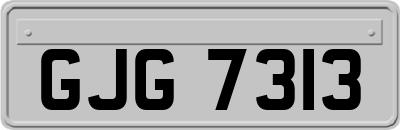 GJG7313