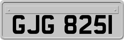 GJG8251