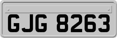 GJG8263